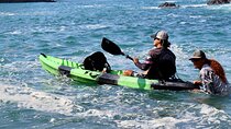 Sea Kayak Adventure and Snorkeling at Playa Biesanz