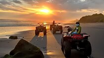 Bali ATV Ride On the Beach, Rice Field and Village Tour 2 Hour