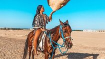 Horse Riding 2 Hours At Desert with Transfers - Sharm El Sheikh