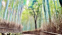 Bamboo Grove Temple and Garden Views Tour