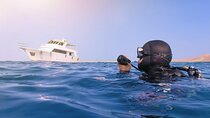 Scuba Diving for Beginners & Certified Divers from Hurghada