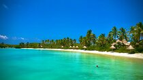 Paradise Island Isla Contoy and Isla Mujeres Tour
