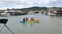 Redwood City Double Kayak Rental
