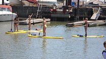 Stand Up Paddleboard Rental in Redwood City