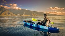 Golden Hour Kayak And Whale Watch