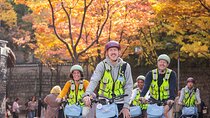 Seoul E-bike Tour