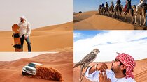 Doha Desert Safari with Inland Sea visit 