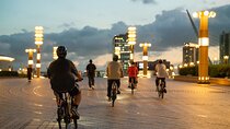 Tokyo Bay Area Sunset Night View 3h E-bike Guided Tour
