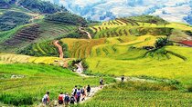 Rice Terraces and Ethnic Villages