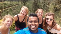 Kandy City Private Luxury Transport Tour full Day