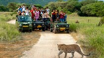 Private Full Day Jaipur Tour with Jhalana Safari