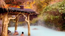 Group Day Tour to Fuji/Hakone - Onsen and Nature - From Tokyo