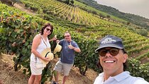 Douro Valley Private Wine Tour from Porto