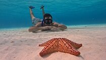 Private Cozumel Snorkeling Adventure From Riviera Maya