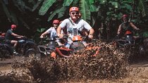 Bali ATV Quad Bike Monkey Forest Jungle Swing with Lunch