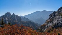 Seoraksan National Park & Nami Island
