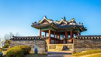 Full Day Suwon Hwaseong and Yellow Spring Flower Festival Tour