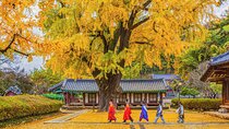 Jeonju Hanok Village Full-Day Tour: Jangtaesan Autumn Foliage