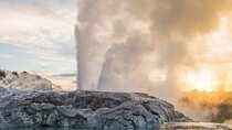 Rotorua Te Puia and Blue Springs Day Tour