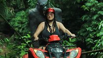 Ubud ATV Quad Bike in Jungle Trails