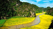 Full Day Journey to Hoa Lu Tam Coc and Mua Cave