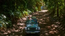 Private Off Road Tour in East DA Madeira