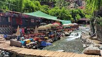 Marrakech: Explore Ourika Valley & Mountains of Atlas ( + lunch)