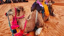 Merzouga Desert – Camel Ride & Overnight in the Camp