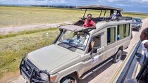 Ol Pejeta Conservancy Daytrip Big Five Safari and Lunch