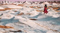 full- day tour to the white desert& black desert