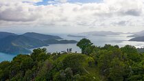 Queen Charlotte Track Self Guided Hike to Eatwells Lookout