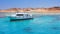 Tiran Island Yacht Excursion from Sharm El Sheikh