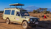 Amboseli day Tour in 4x4 Landcruiser