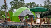 The Tortoise Dome Lodge – Giant Tortoises & Lava Tunnels
