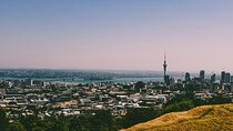 Auckland Full Day Attractions & Museums Tour