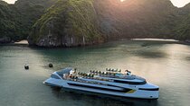Dolphin Cruise – Experience Halong Bay in Timeless Luxury