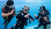 Hurghada Diving for Certified Diver with Lunch Drinks Transfer