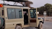 Nairobi national park drive private tour in 4x4 Landcruiser 