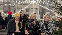 Private Vienna Christmas Market Food Tour