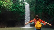 Ubud : Waterfalls, Water Temple & Rice Terraces Private Tour 