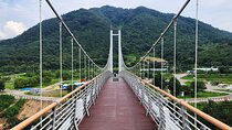 DMZ Tour, 2nd Tunnel & UNESCO Suspension Bridge Tour from Seoul