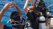 Hurghada Diving for Beginner with Lunch Drinks Transfer