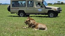 8 Day Mid Range Safari From Forests to the Migration Front