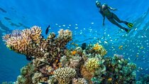 Hurghada Full Day Snorkeling Trip with Lunch Drinks Transfer