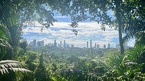 The Panama City: Hike & Sights Private Tour