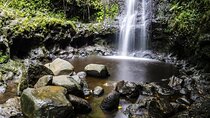 VIP Waimea Falls and Hiking Tour with Limousine Transport