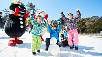Rokko Snow Park Winter Ski and Arima Onsen Day Tour from Osaka