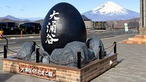 Mount Fuji and Hakone Day Trip with Ropeway Ride