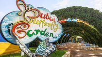  Dubai Butterfly Garden Admission Ticket