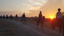 Cappadocia Horse Rides and Valley Tours